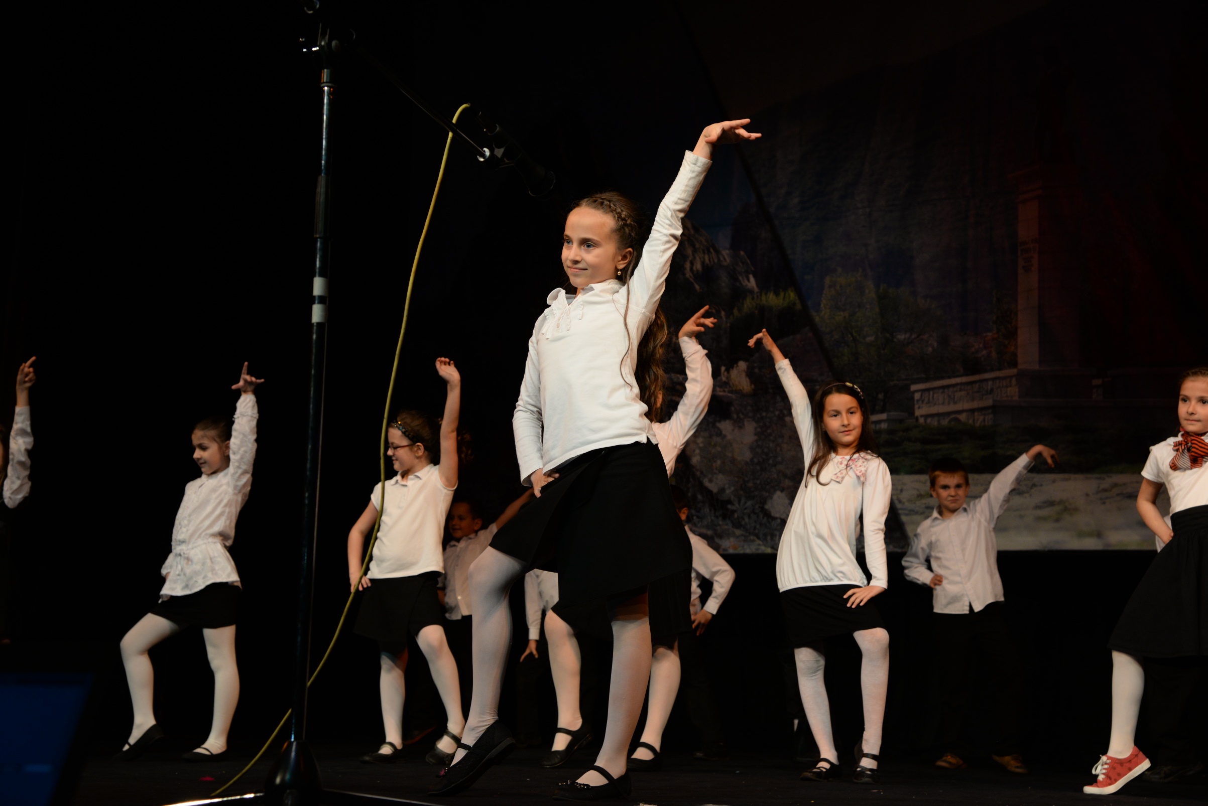 Концерт-2014-37